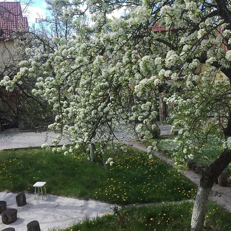 Квартира-студия в стиле Шале Трускавец Экстерьер фото